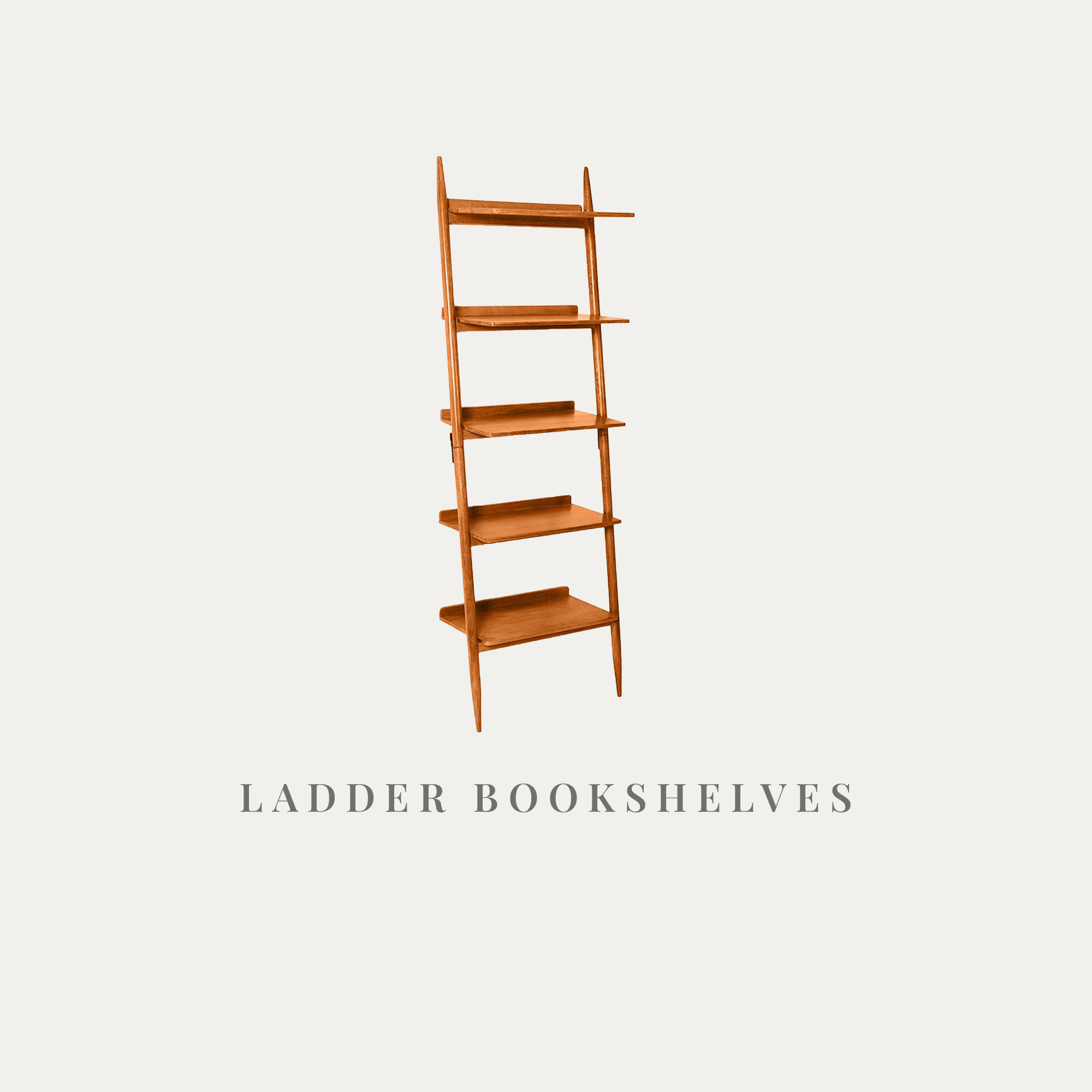 Ladder Bookshelves