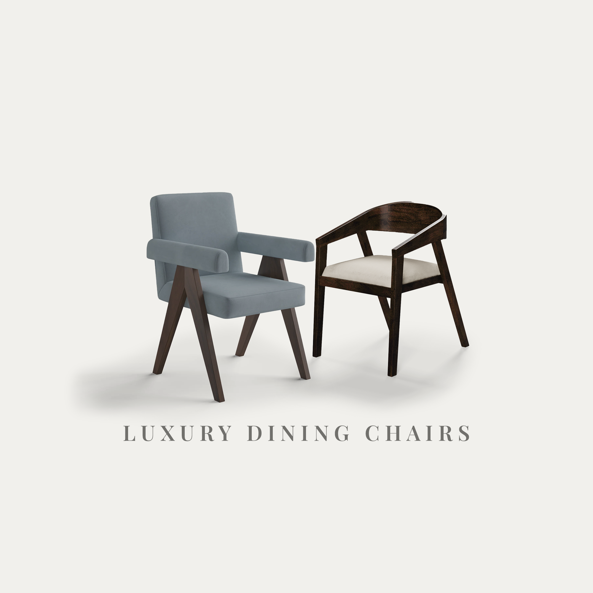 Luxury Dining Chairs