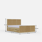 Adelaide Rattan Rollout Storage Bed - Queen with 4 Rollout Storage Boxes (60 W X 78 D inches) - Mango
