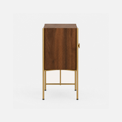 Citlali Accent Cabinet with Brass Frame