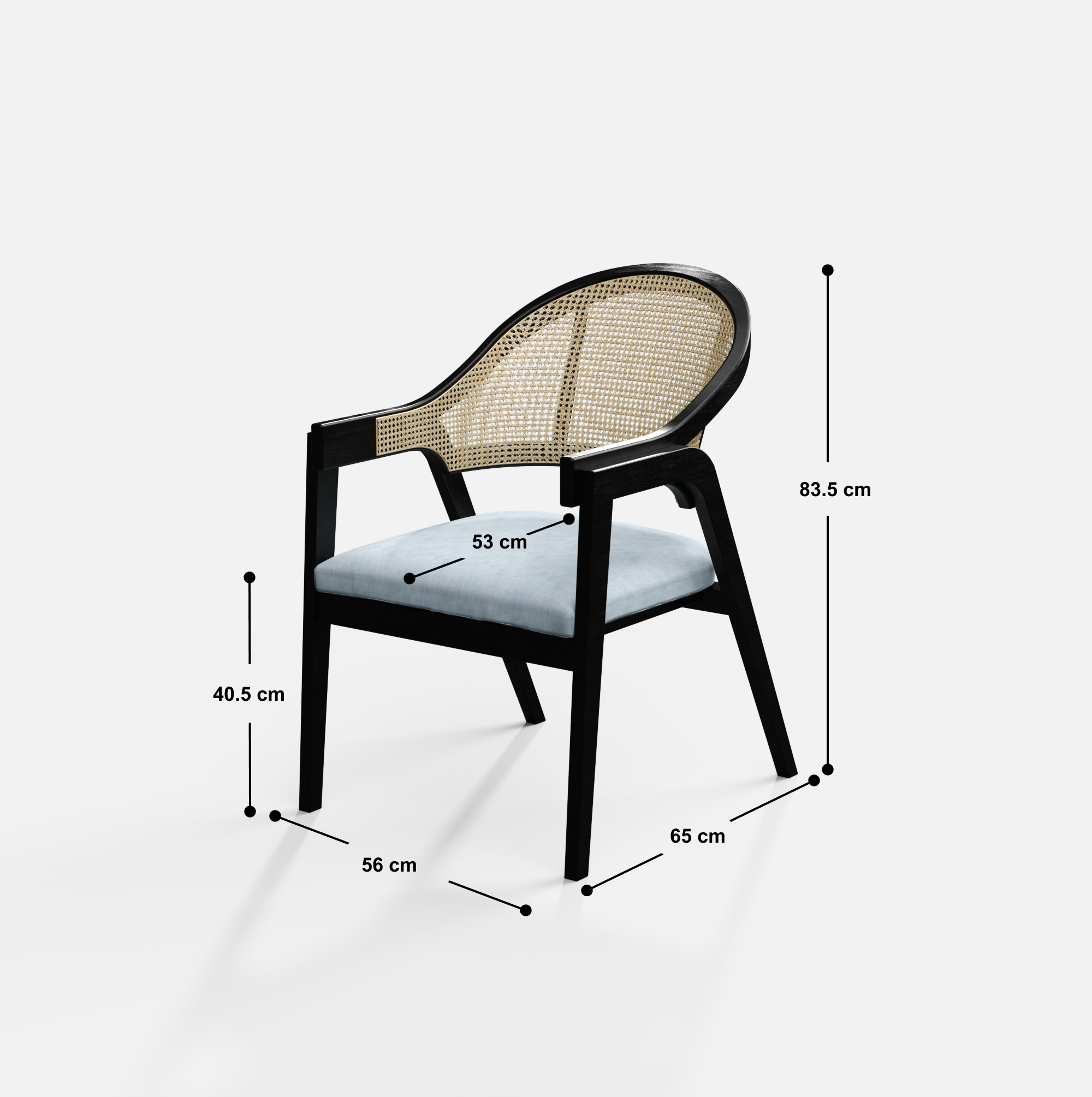 Hugo Rattan Chair with Upholstered Seat