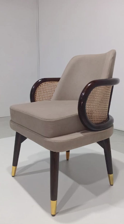Jodhpuri Chair - Sheesham Walnut