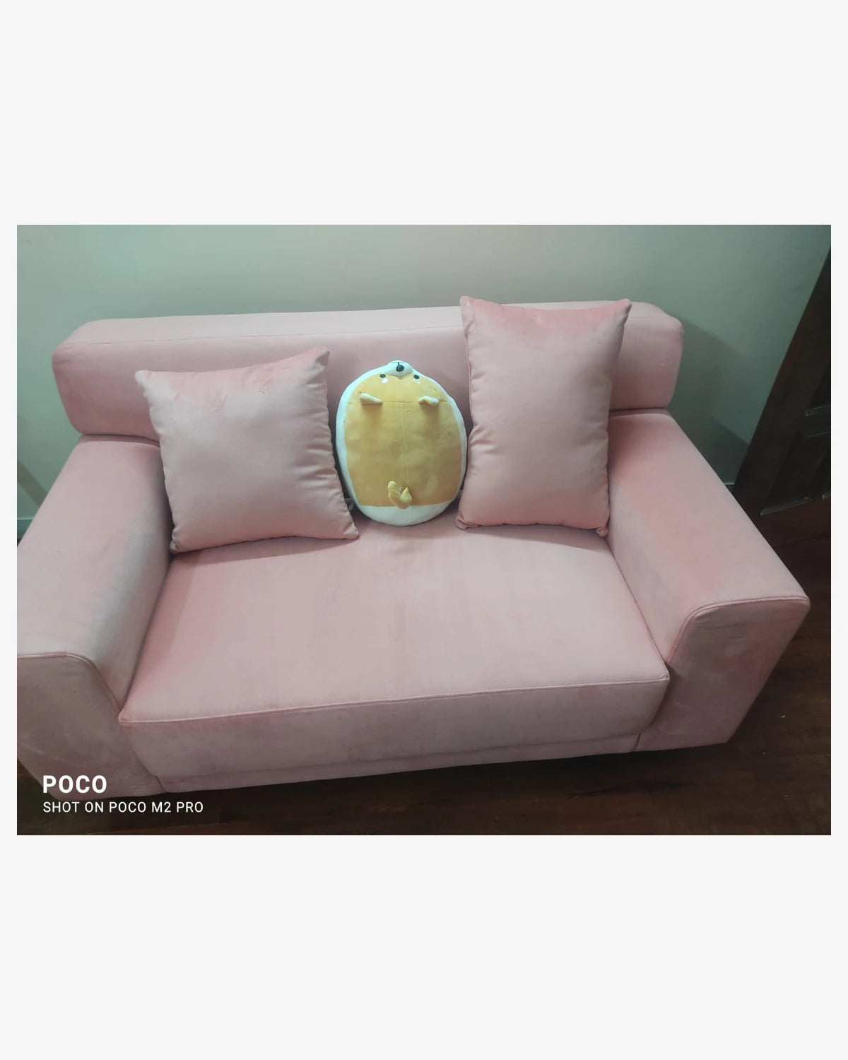 Customer review photo